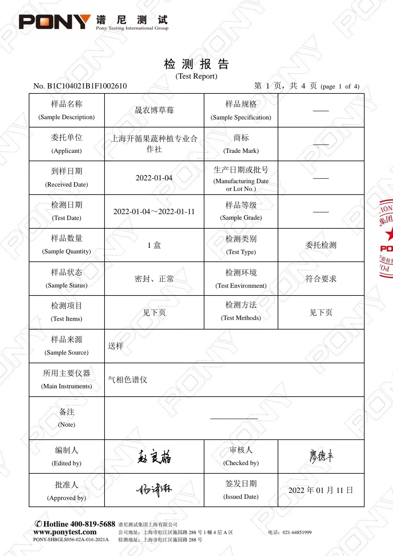 草莓检测报告3