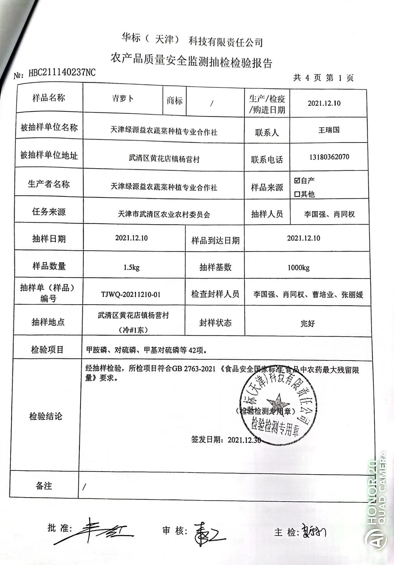 青萝卜检测报告02