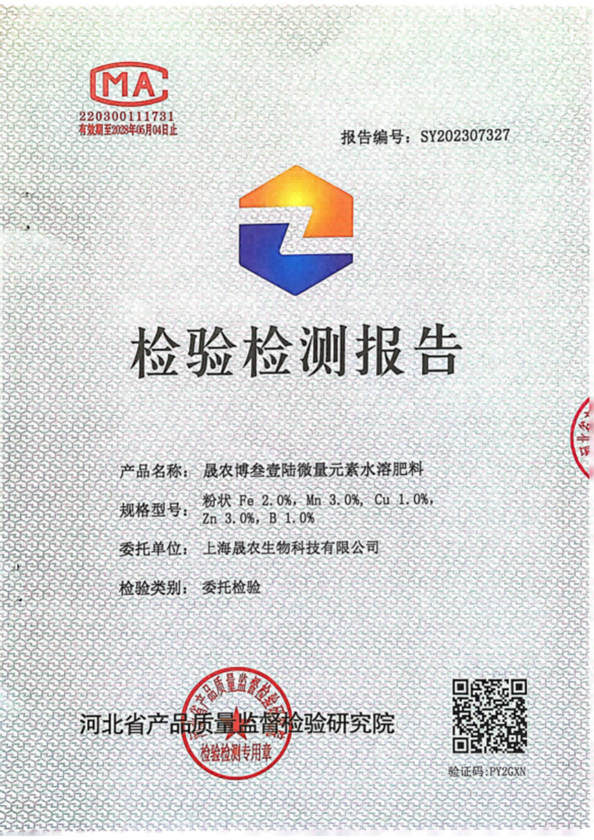 检测报告1