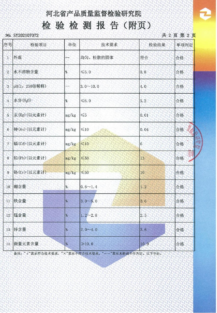 检测报告9